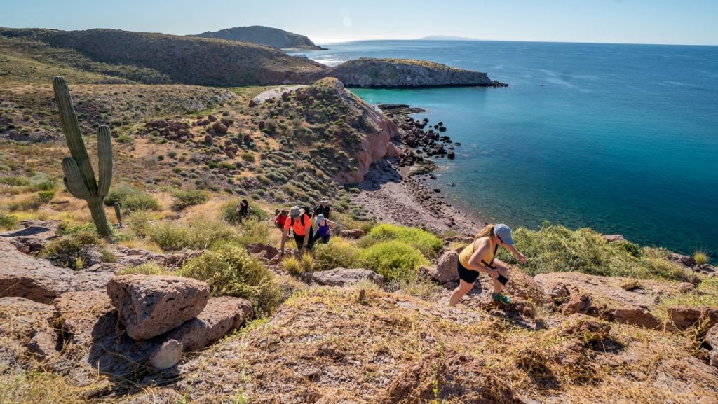 A group of hikers make their way to the top of a hillside overlooking the deep blue peninsula coastline of Baja's sea of Cortex below.
