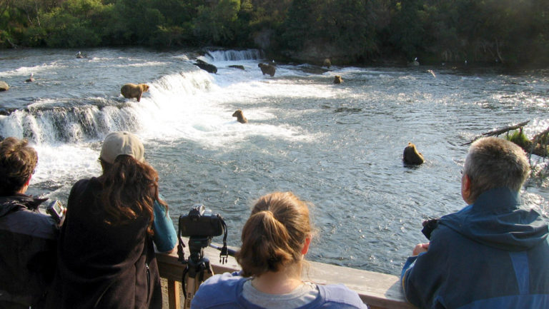 Group of people observing the bears fishing from the viewing platform at the brooks wilderness lodge in katmai alaska