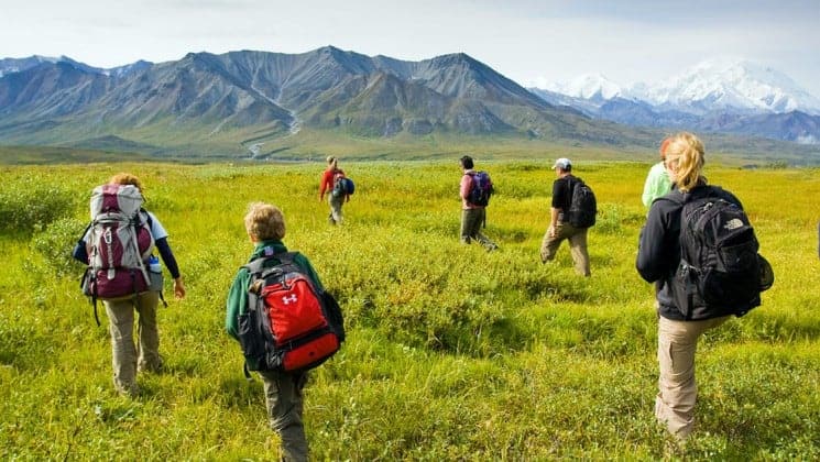 seven hikers trek across field on camp denali adventure in alaska