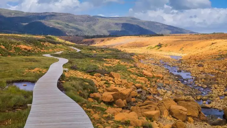 A narrow walkway streams through the yellow rocky landscape.