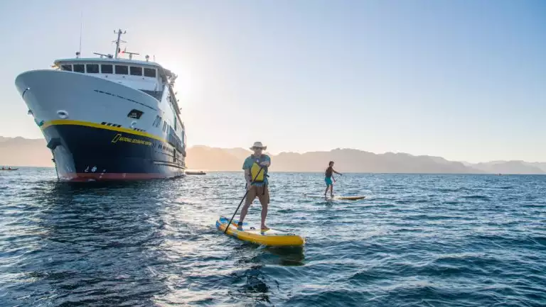 Channel Islands cruise travelers paddle yellow inflatable stand-up paddleboards near a National Geographic-branded small ship.