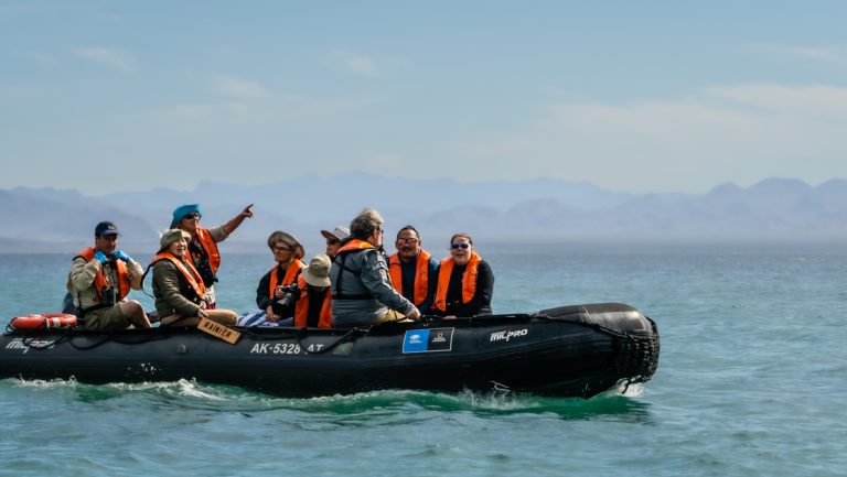 Channel Islands cruise guests with orange PFDs on enjoy a Zodiac cruise in calm water on a sunny day.