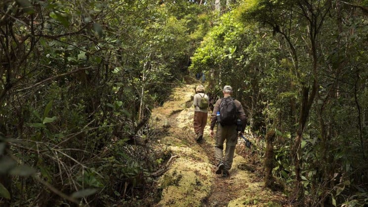 two hikers on jungle path on costa rica coast to coast trip