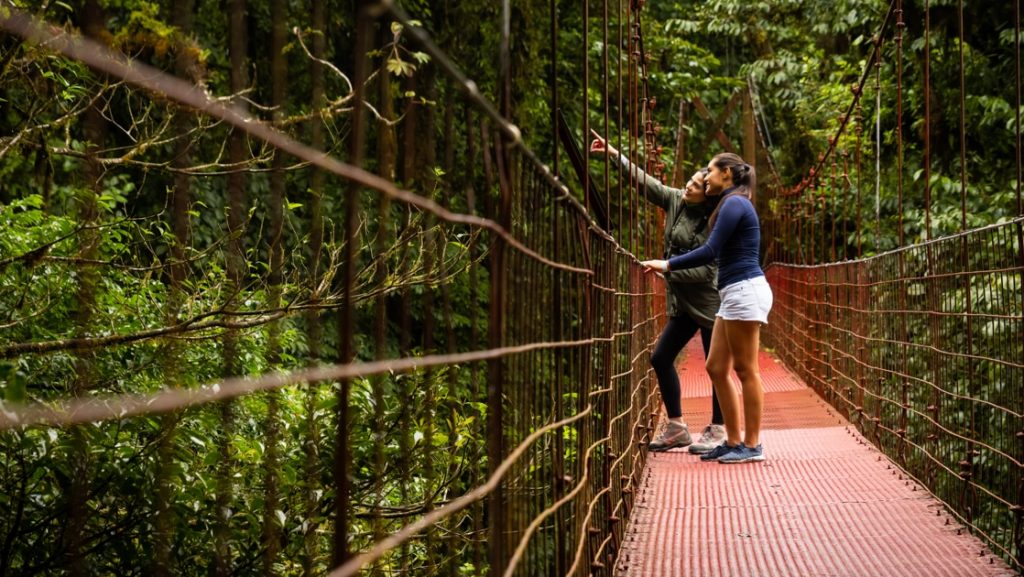 2 women stand on a hanging bridge in dense rainforest & point out wildlife during the Costa Rica Family Adventure.