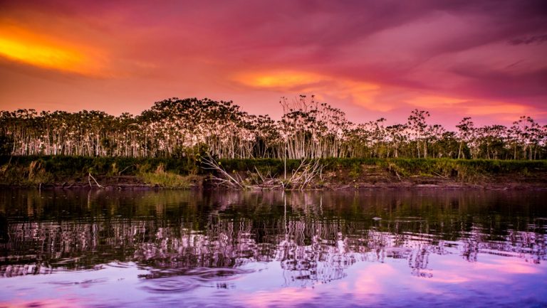 Amazon sunset viewed from the water, with purple, pink & orange sky beside glassy water & green rainforest.