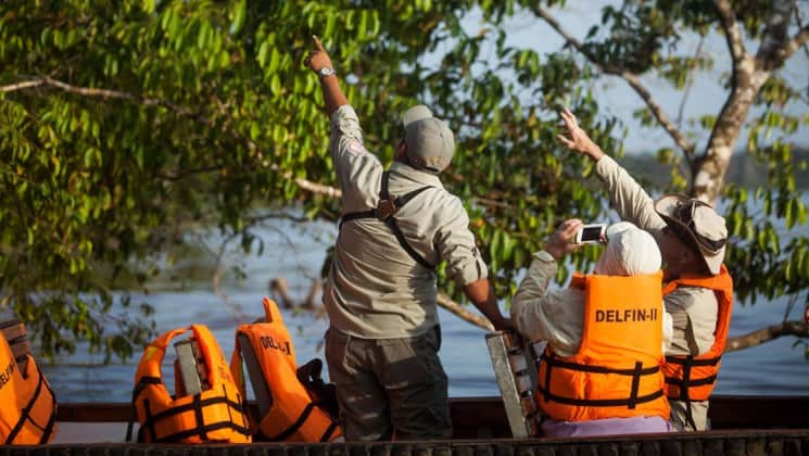 guide pointing up into the canopy while travelers look and take pictures on the delfin ii amazon river cruise