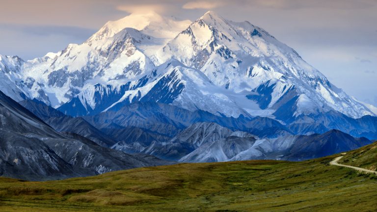 Mount Denali with various snow-covered peaks & blue lower elevations sits beside large green grass meadow with road beside it.