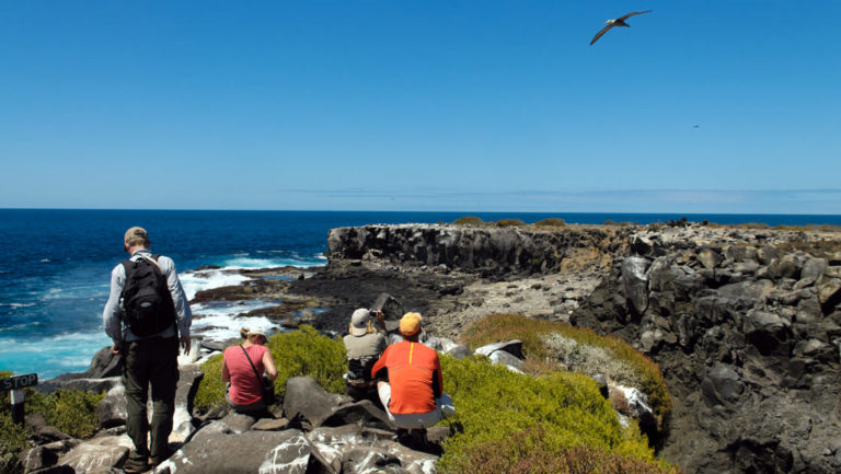 guests of the luxury cruise seaman journey walk and sit on a rocky bluff overlooking the ocean at the Galapagos islands while a bird flies in the blue sky