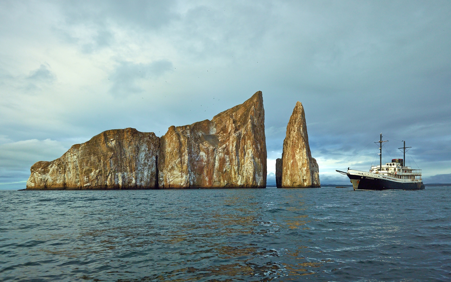 The Rock Galapagos