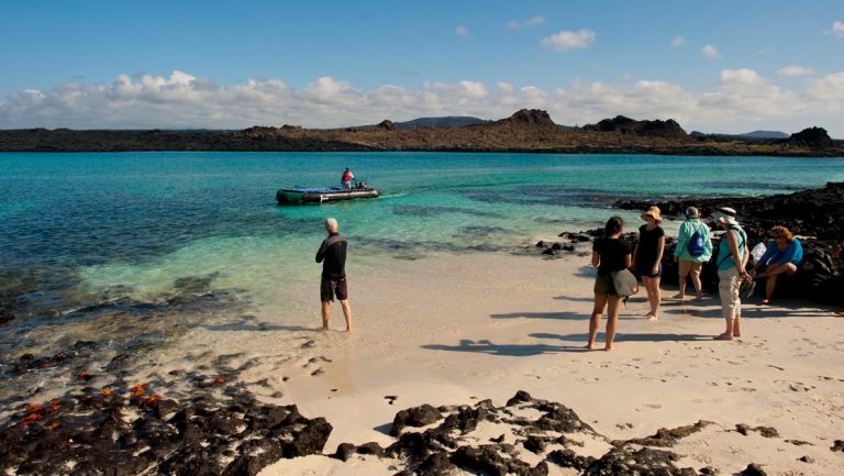 A group of Galapagos travelers stand on an islands sandy beach with black lava rock against crystal blue and teal ocean water beyond them.