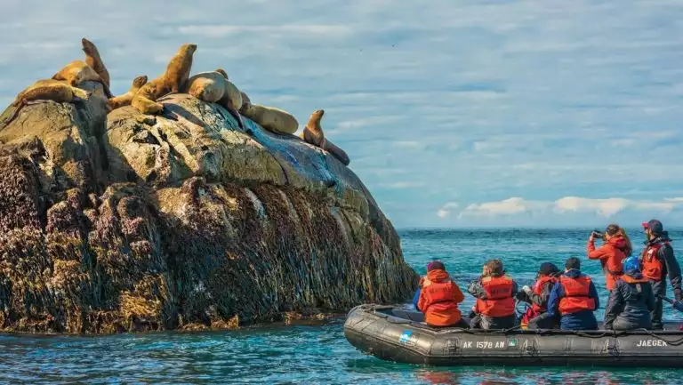 Alaska travelers sit & stand in black Zodiac boat while photographing seals atop a tall rock rising out of the water in a cloudy day.