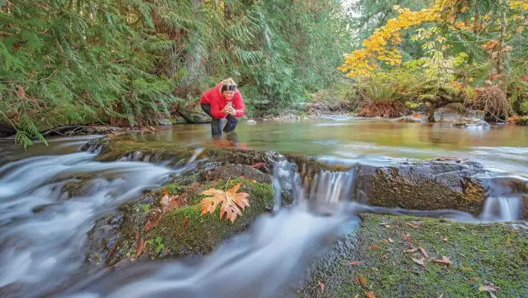 Woman in red coat & black pants stands in middle of shallow river, photographing autumnal leaves in British Columbia.