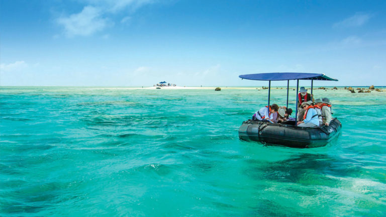travelers on a covered zodiac skiff atop turquoise water of the pacific islands on a sunny day with a small white sand beach in the background