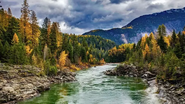 River flowing through the changing fall colors of the foliage in southeast Alaska.