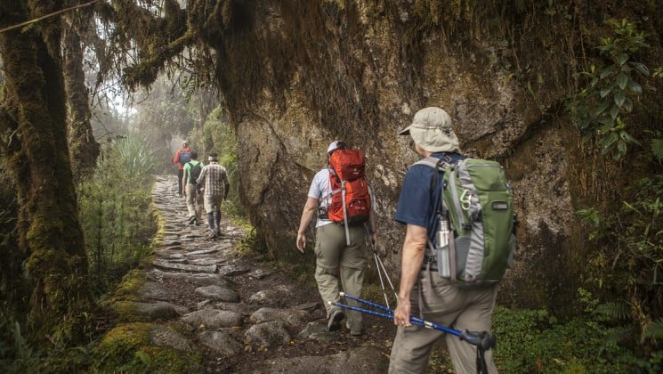 group hiking through wet, mossy fog on inca trail trek peru land tour