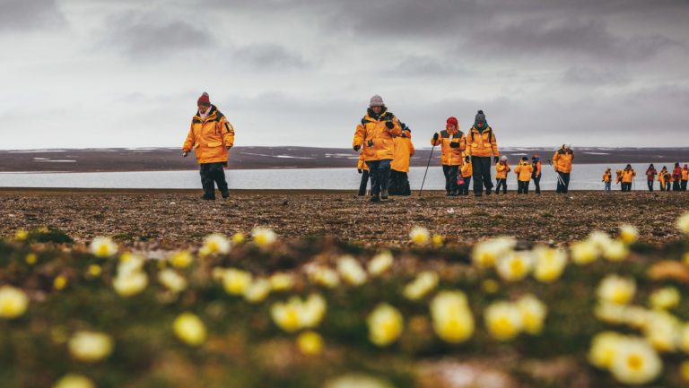Arctic travelers in yellow jackets walk over tundra with small yellow flowers on a cloudy day on the Intro to Spitsbergen.