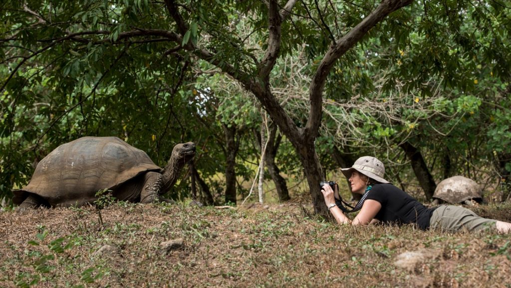 A traveler wearing a tan safari hat lays on the ground with camera in hand for a photo of the giant Galapagos tortoise in front of her.