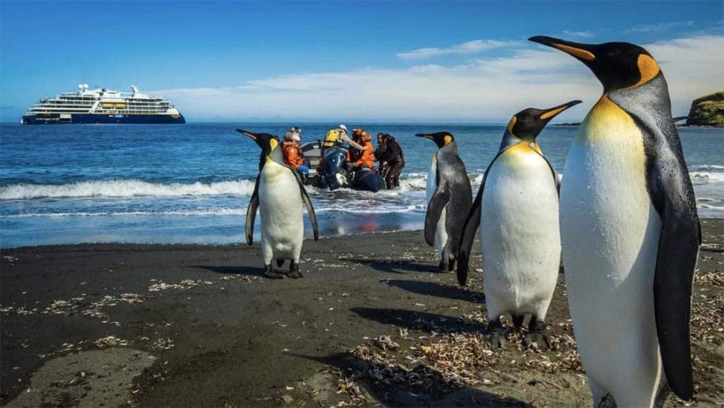 Nat Geo ship floats on the horizon as a skiff full of guests depart from the shore of south Georgia filled with King Penguins.