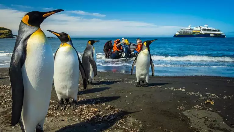 King penguins with silver backs & orange & black heads stand on beach by Zodiac with small Nat Geo ship offshore in Antarctica.