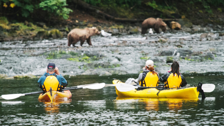 Three yellow kayaks stopped to photograph three bears off in the distance, taking in the magical moment