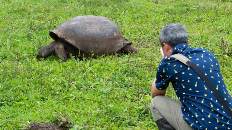 Man in dark blue shirt & gray pants kneels in bright green grass to photograph a giant tortoise on a Petrel Galapagos Cruise.