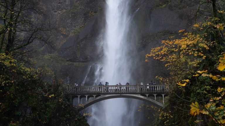 People stand on a bridge and watch as white water falls down dark grey stone walls at Multnomah Falls.