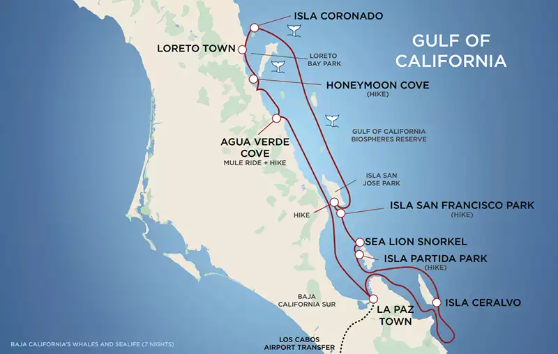 Map of baja cruise with uncruise showing you each stop with bold text and whale graphics to signify where the whales will be on the cruise