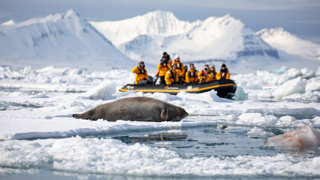 Zodiac boat with Three Arctic Islands travelers in yellow coats sits among iceberg bits watching a seal sleeping on the fast ice.