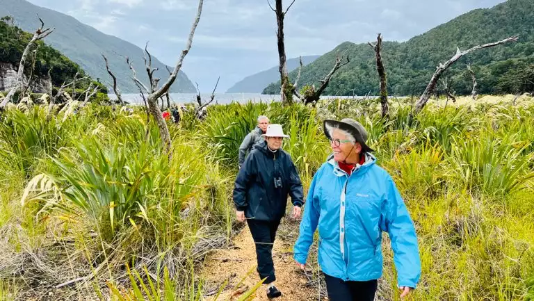 Women in black, blue & gray coats & hats walk a trail in from the sea among tall green bushes on a New Zealand small cruise.