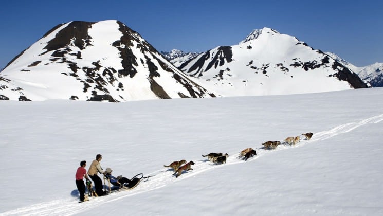 two people dogsledding pulled by several dogs on ultimate alaska adventure trip
