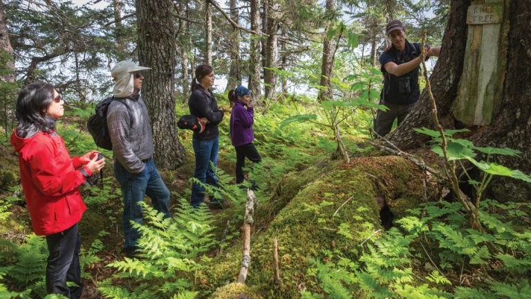 Naturalist points to a large tree in a dense forest as 4 Within the Wild Alaska guests look on during a nature hike.