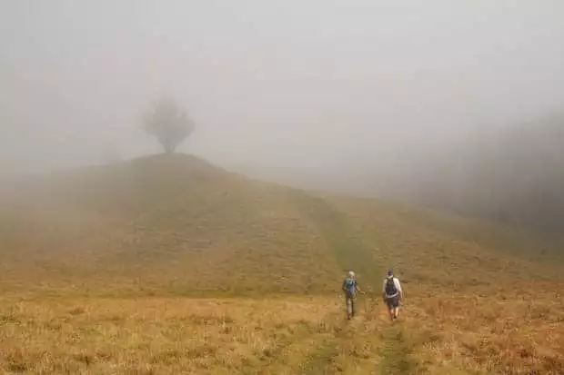 Two hikers walking through a field with a knoll and tree in the mist.