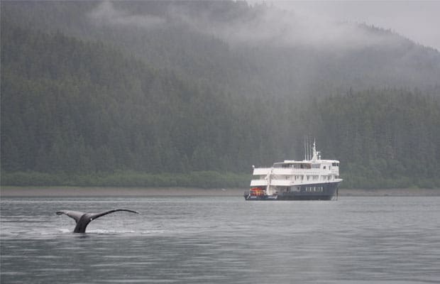 whale tail comes above water in front of a small ship on a misty day in alaska