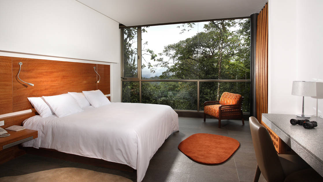 Mashpi Wayra room with king bed and floor to ceiling windows.