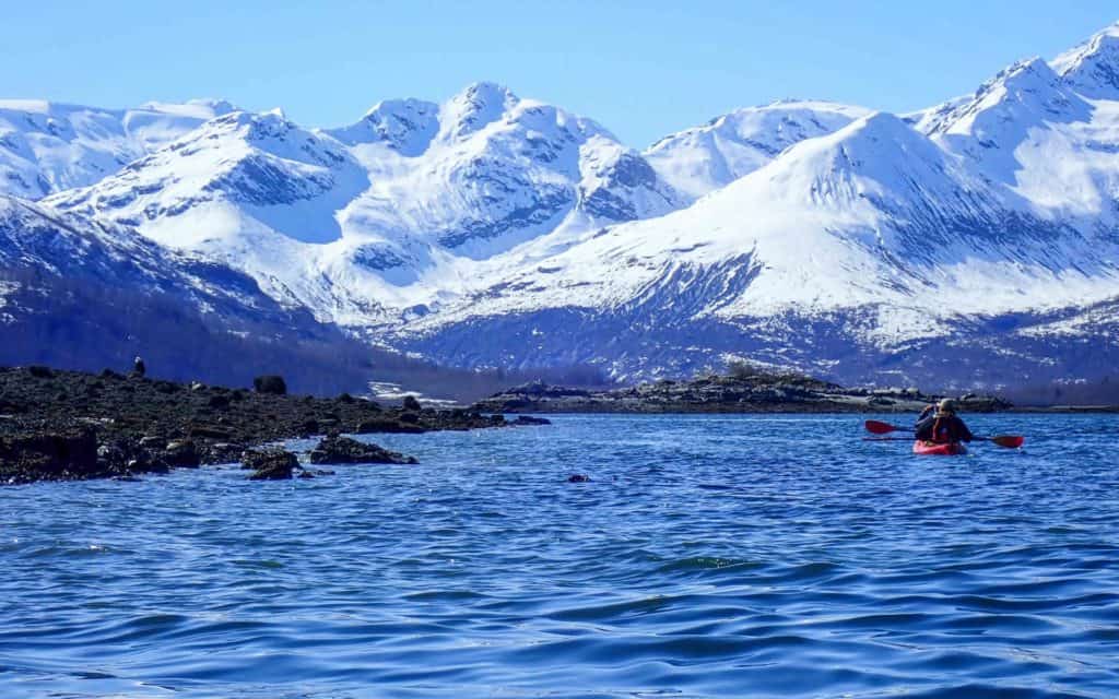 Two Alaska travelers kayaking and looking at a bald eagle perched on the beach with snowy mountains in the background.