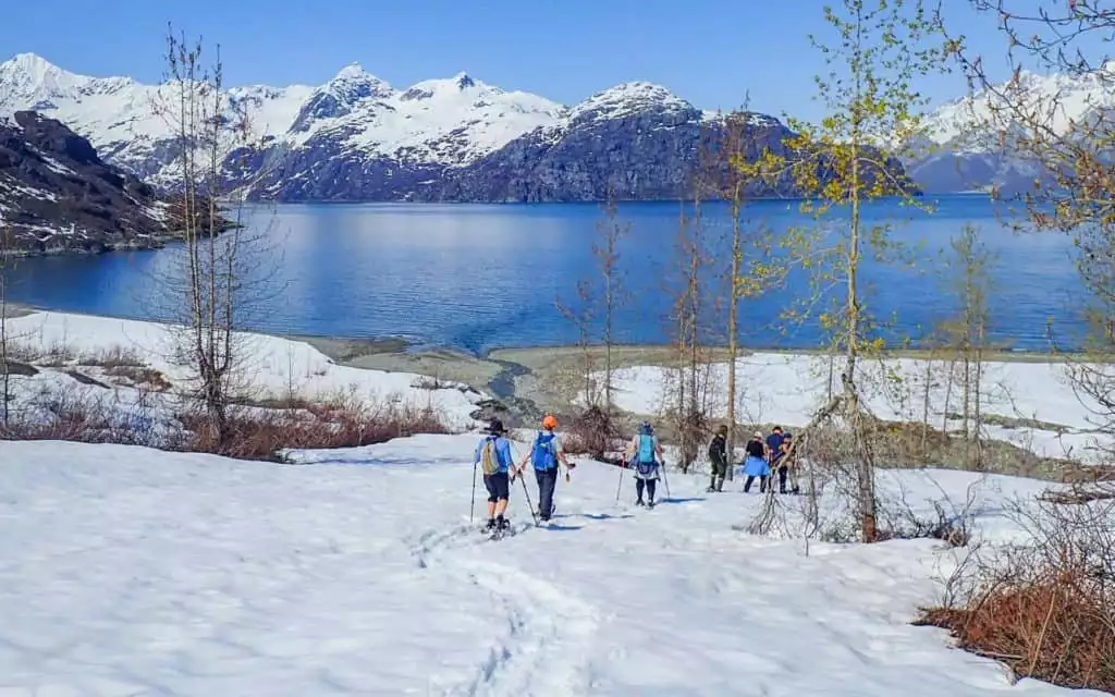 A group of Alaska travelers snowshoeing down a snowy hill with Glacier Bay below them and snow capped peaks across the bay.