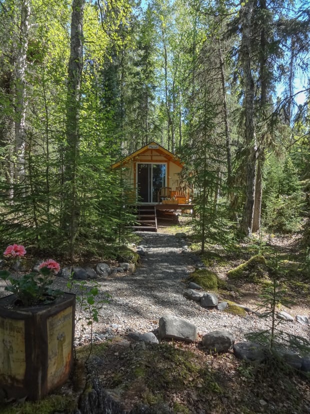 A small cabin in the Kenai forest at a Kenai Wilderness land tour.