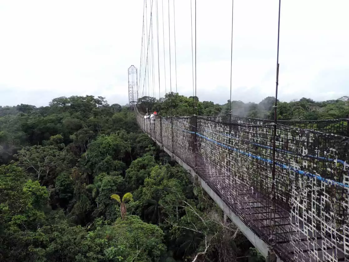 2 travelers on the suspended walking bridge atop the Amazon jungle canopy.