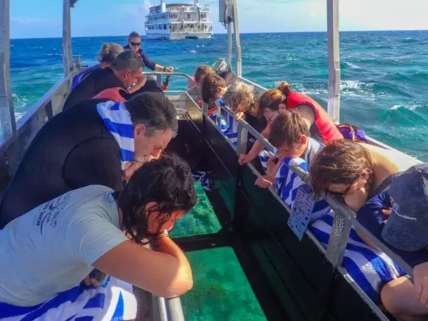 A group of Great Barrier Reef travelers on a glass-bottom boat looking down at the reef.