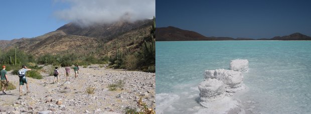 Baja travelers hiking on a beach and salt formations in the water off the coast of Baja.