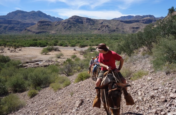 Baja travelers riding on donkeys up a rocky trail along a hillside in Baja.