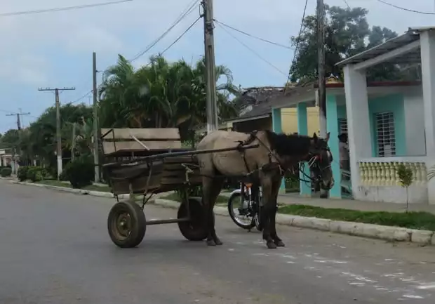 A house drawn cart in the countryside in Cuba. 