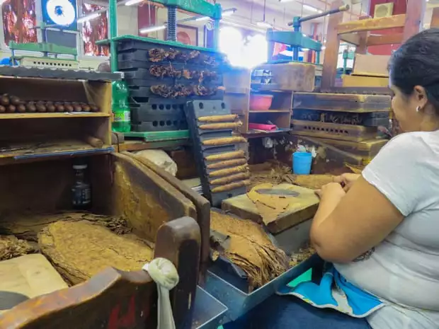 Lady rolling cigars in a small factory seen on a tour from a small ship in Havana Cuba. 