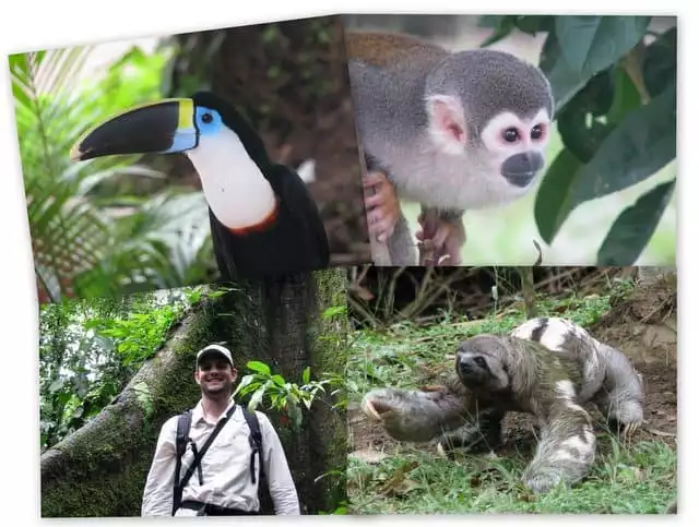 Toucan, monkey, sloth, and a happy guest on the Ecuador Amazon Adventure at Napo Wildlife Center. 