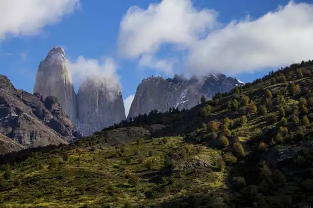 Grassy tree lined hillside with sheer mountain spires at Torres del Paine National Park.