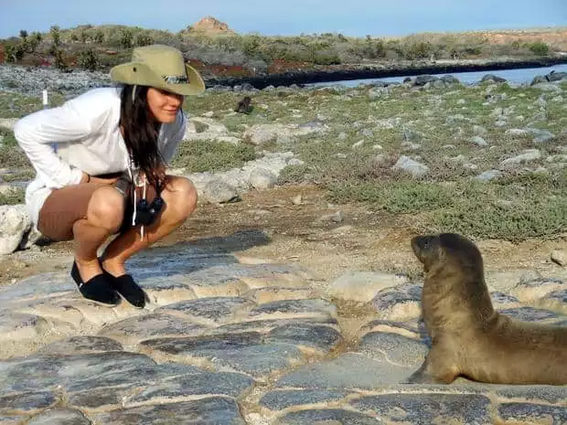 Curious traveler staring into a small sea lion on a rocky bluff in the Galapagos.