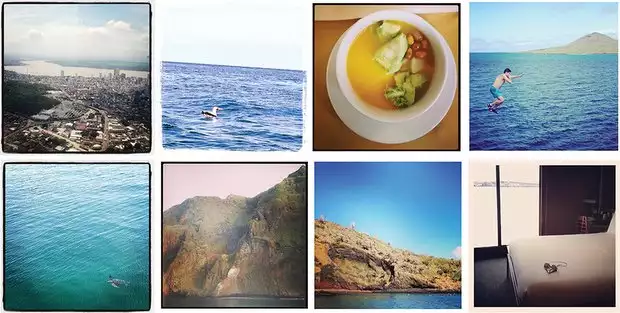 Collage of aerial city view of Guayaquil, sea bird floating on the ocean, vegetable soup, traveler jumping off a small ship into the ocean, sea turtle swimming, steep rocky mountain cliff jutting out from the ocean, island hillside, stateroom with bed and floor to ceiling windows.