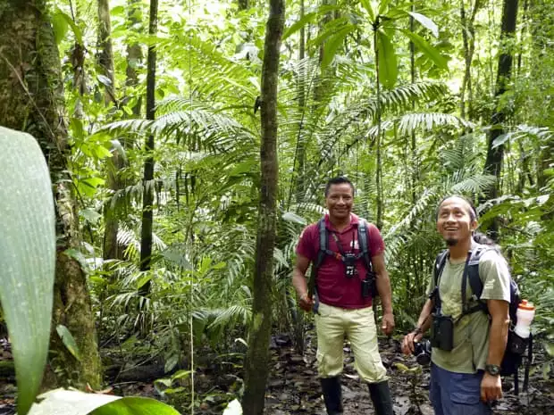 2 local guides interpreting on a hike in the Amazon jungle.
