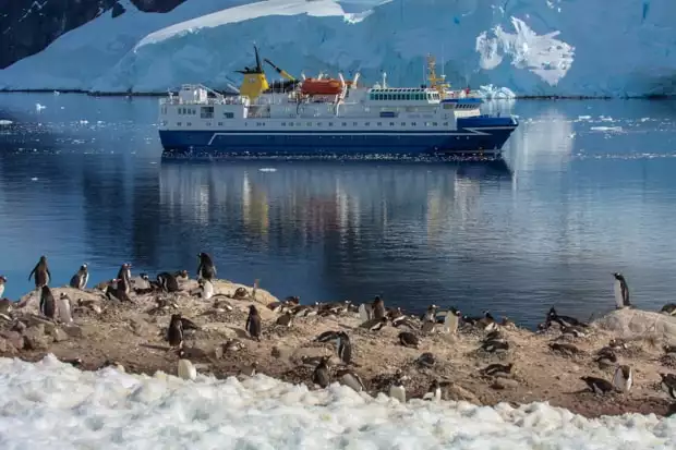 View from hiking tour of penguins and small expedition cruise ship in the bay in Antarctica. 