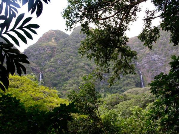 Two Hawaiian waterfalls cascading down a steep green mountain